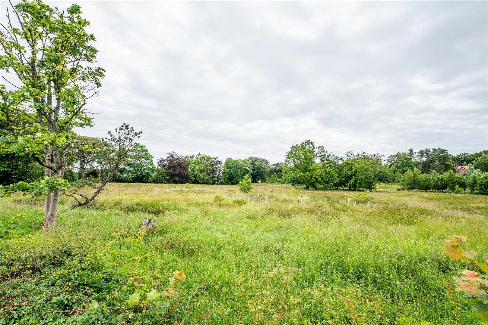 Oakmere Avenue, Withnell, Chorley